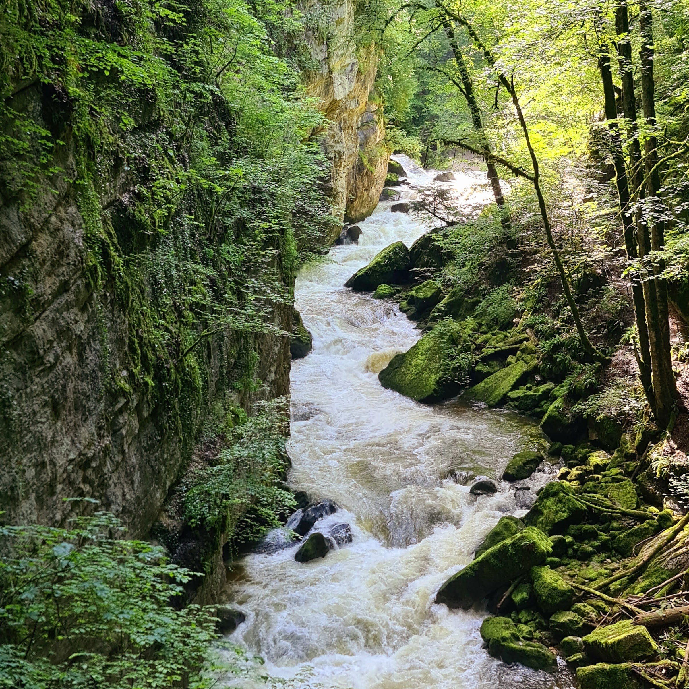 Gorges de l'Areuse